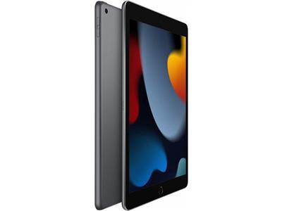 10.2-inch iPad Wi-Fi 64GB - Space Gray