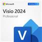 Microsoft® Visio Pro 2024 All Lng Retail Online ESD