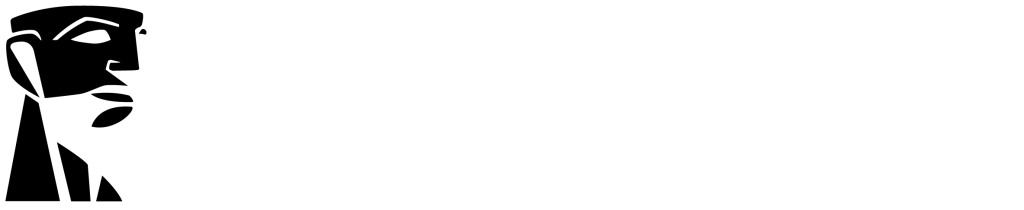 Logo Kingston