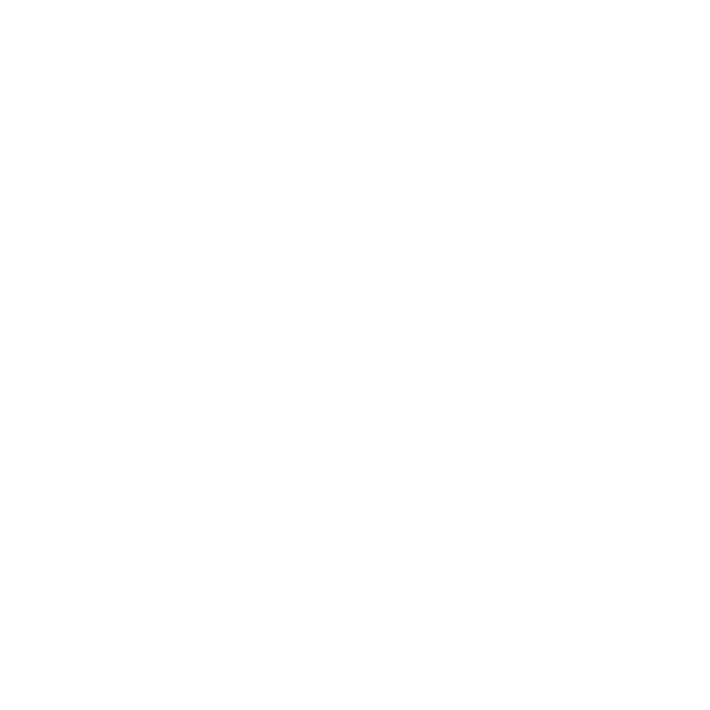 Logo andis