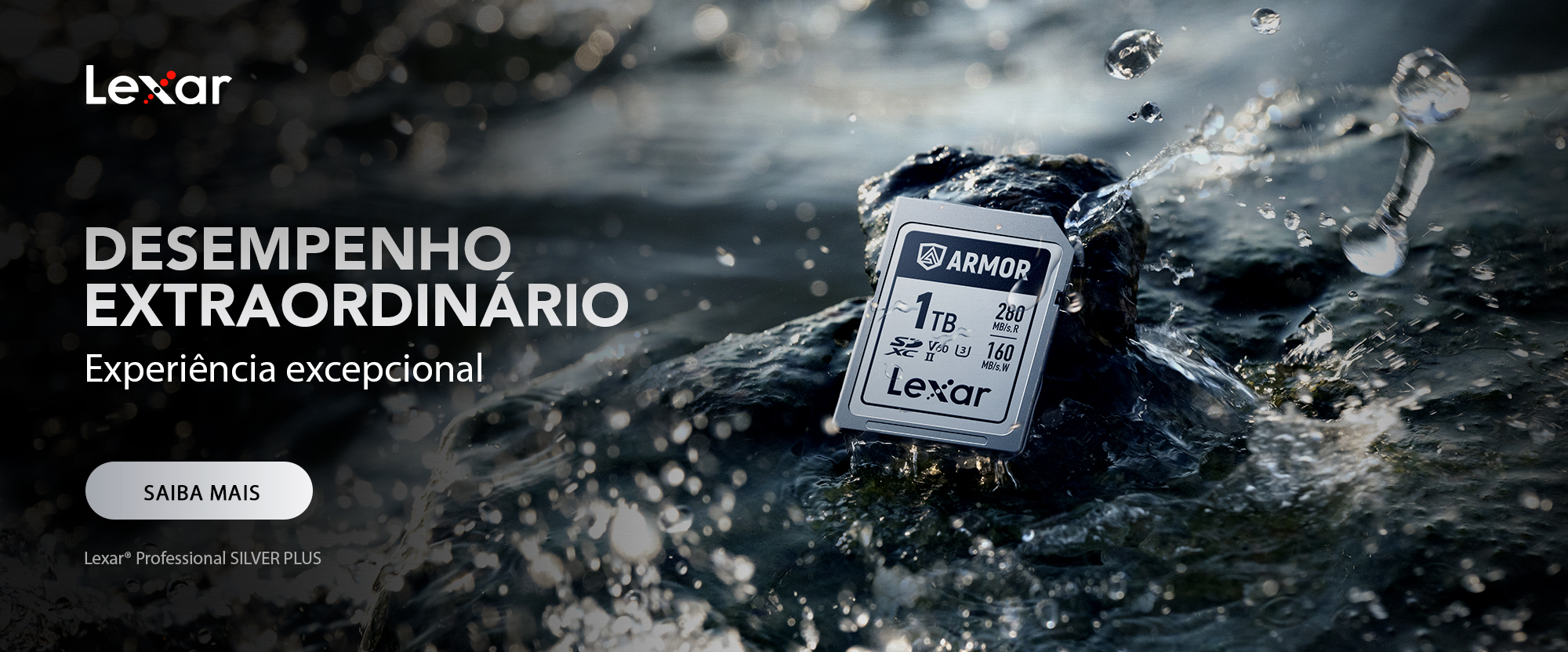 Lexar┬«-Professional-SILVER-PLUS-Portugues
